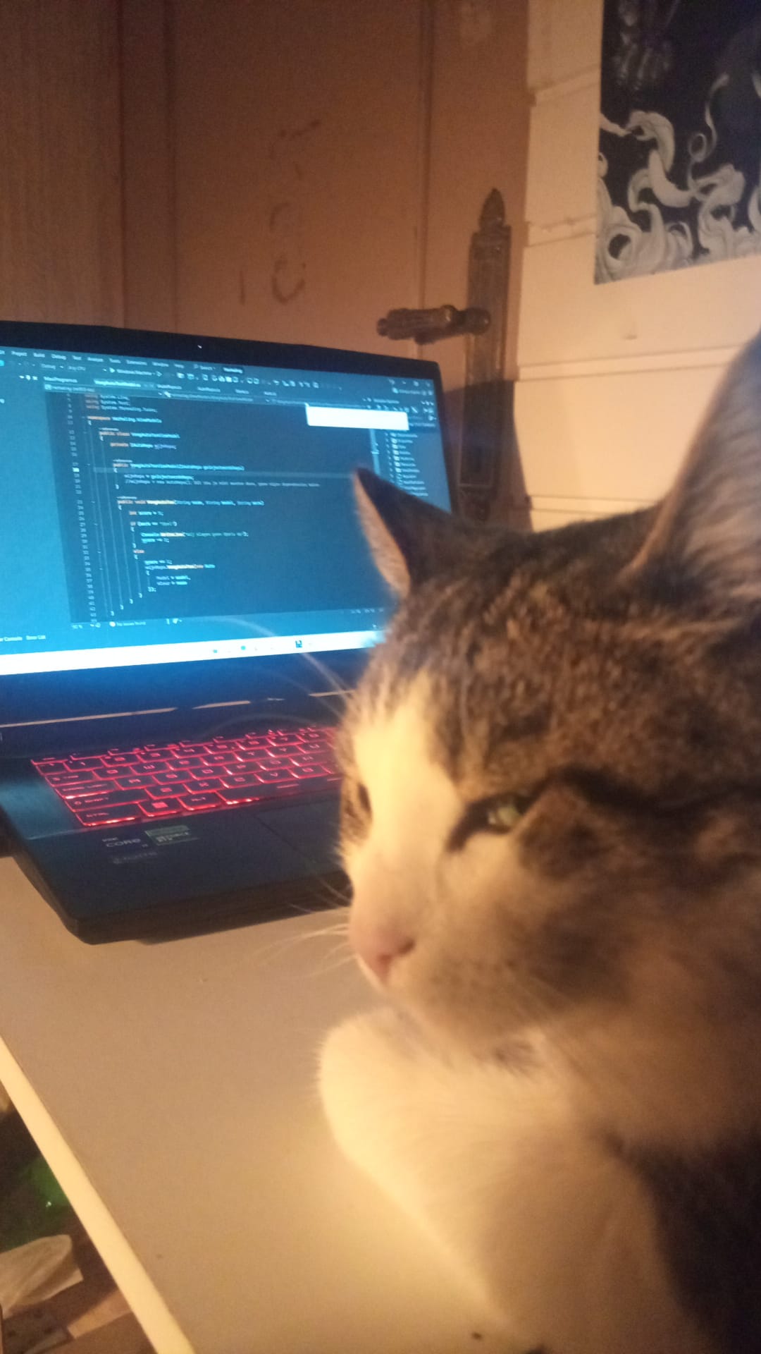 Tommy bij de pc
